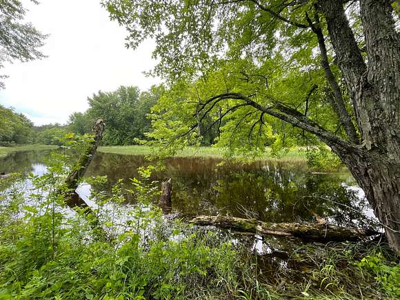 47.19 Acres of Recreational Land & Farm for Sale in Crosby, Minnesota