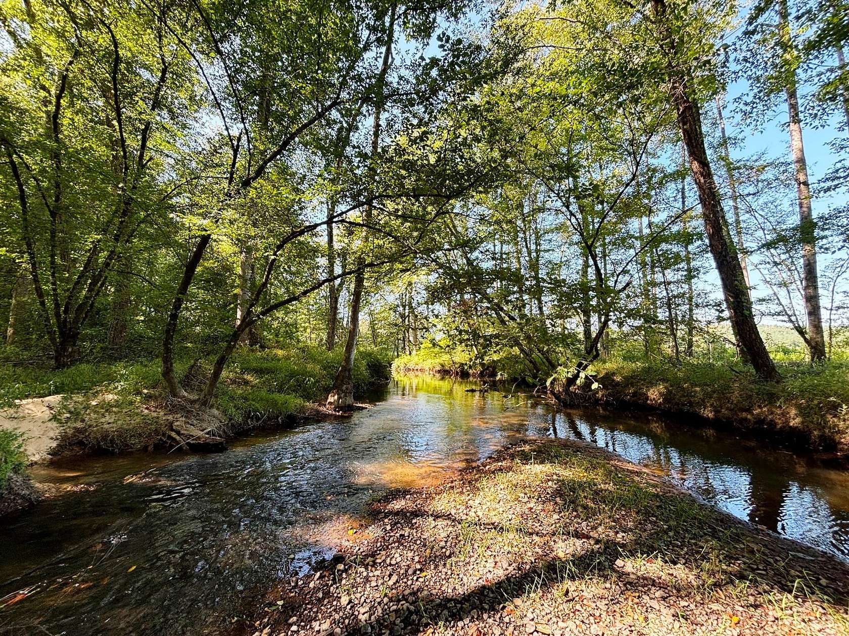 524 Acres of Recreational Land & Farm for Sale in Hamilton, Alabama