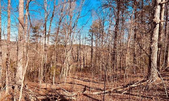 5.88 Acres of Land for Sale in Palmer, Tennessee