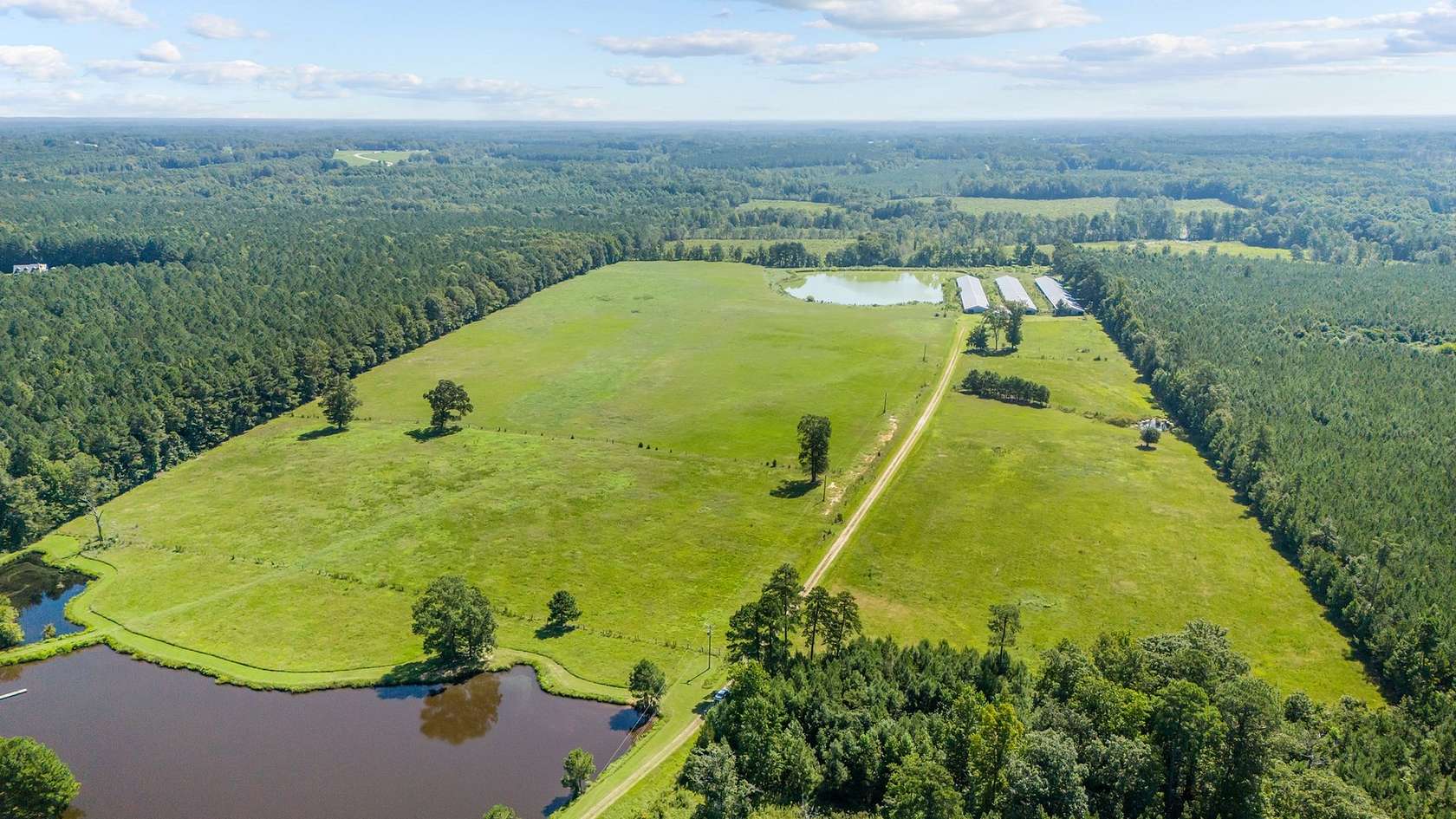 53 Acres of Land for Sale in Castalia, North Carolina