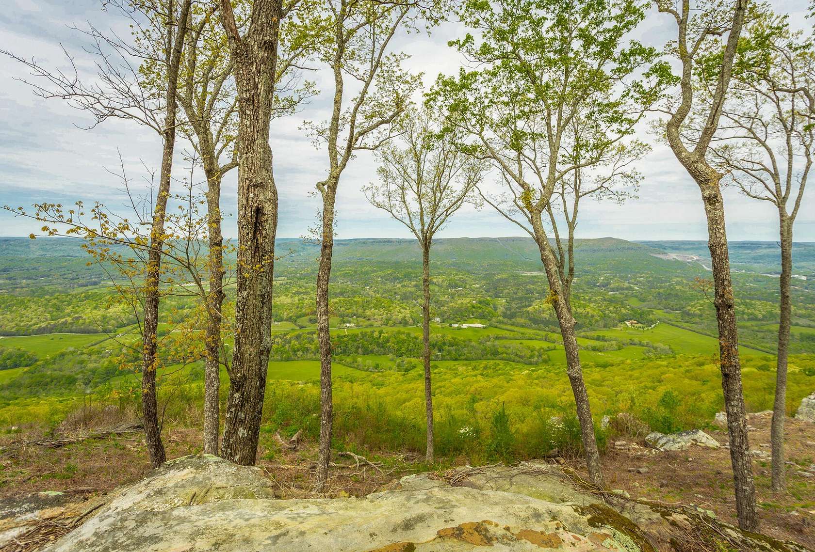 0.23 Acres of Residential Land for Sale in Lookout Mountain, Georgia