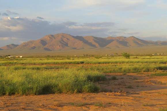 1,568 Acres of Land for Sale in Lordsburg, New Mexico