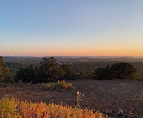 1 Acre of Residential Land for Sale in Concho, Arizona