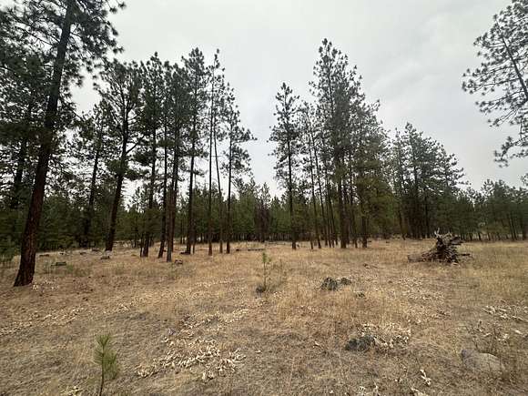 2.3 Acres of Land for Sale in Ford, Washington