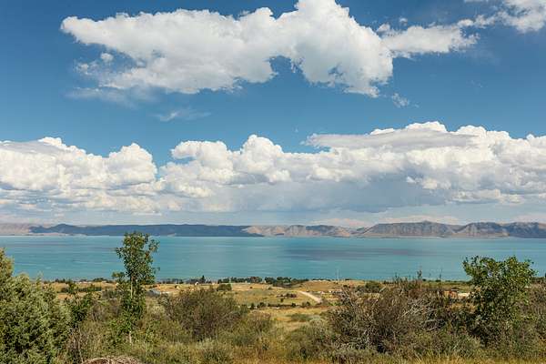 3.56 Acres of Land for Sale in Fish Haven, Idaho