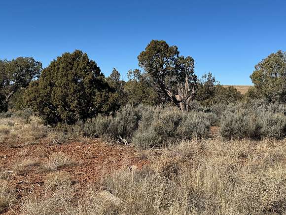 3.6 Acres of Land for Sale in Cortez, Colorado