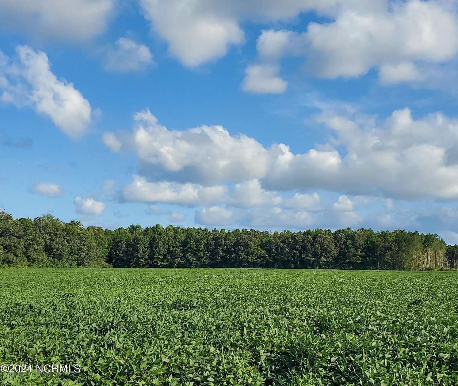 13.83 Acres of Land for Sale in Hertford, North Carolina