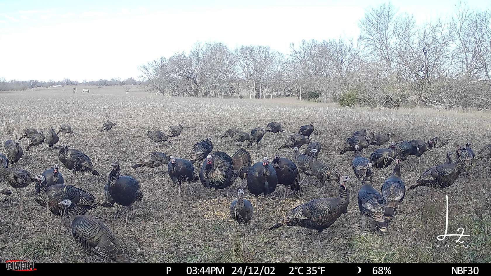 112.68 Acres of Recreational Land for Sale in Mound Valley, Kansas