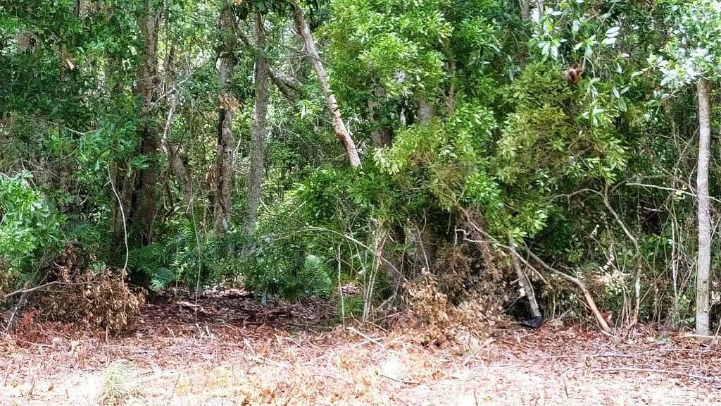 0.22 Acres of Residential Land for Sale in Carrabelle, Florida