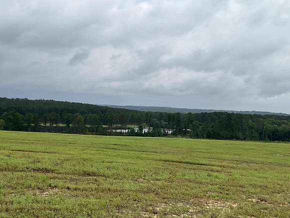 14.82 Acres of Agricultural Land for Sale in Aiken, South Carolina