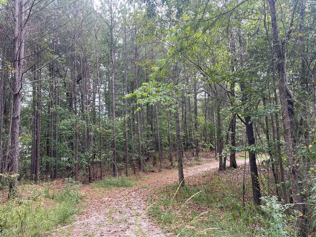 5 Acres of Land for Sale in Vance, Alabama