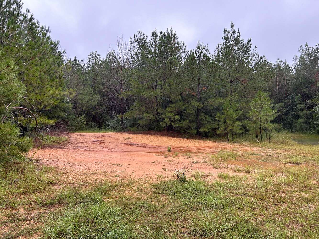 6.4 Acres of Land for Sale in Mendenhall, Mississippi