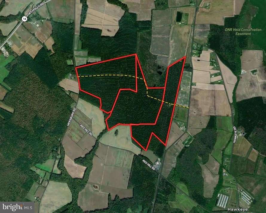 353 Acres of Recreational Land for Sale in East New Market, Maryland ...