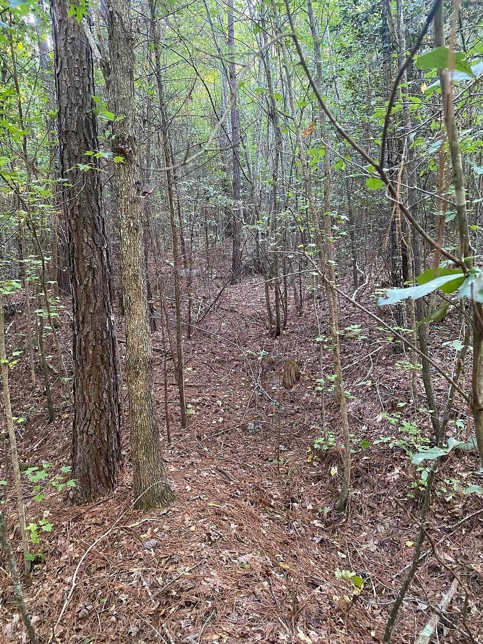 27.2 Acres of Recreational Land for Sale in Enoree, South Carolina