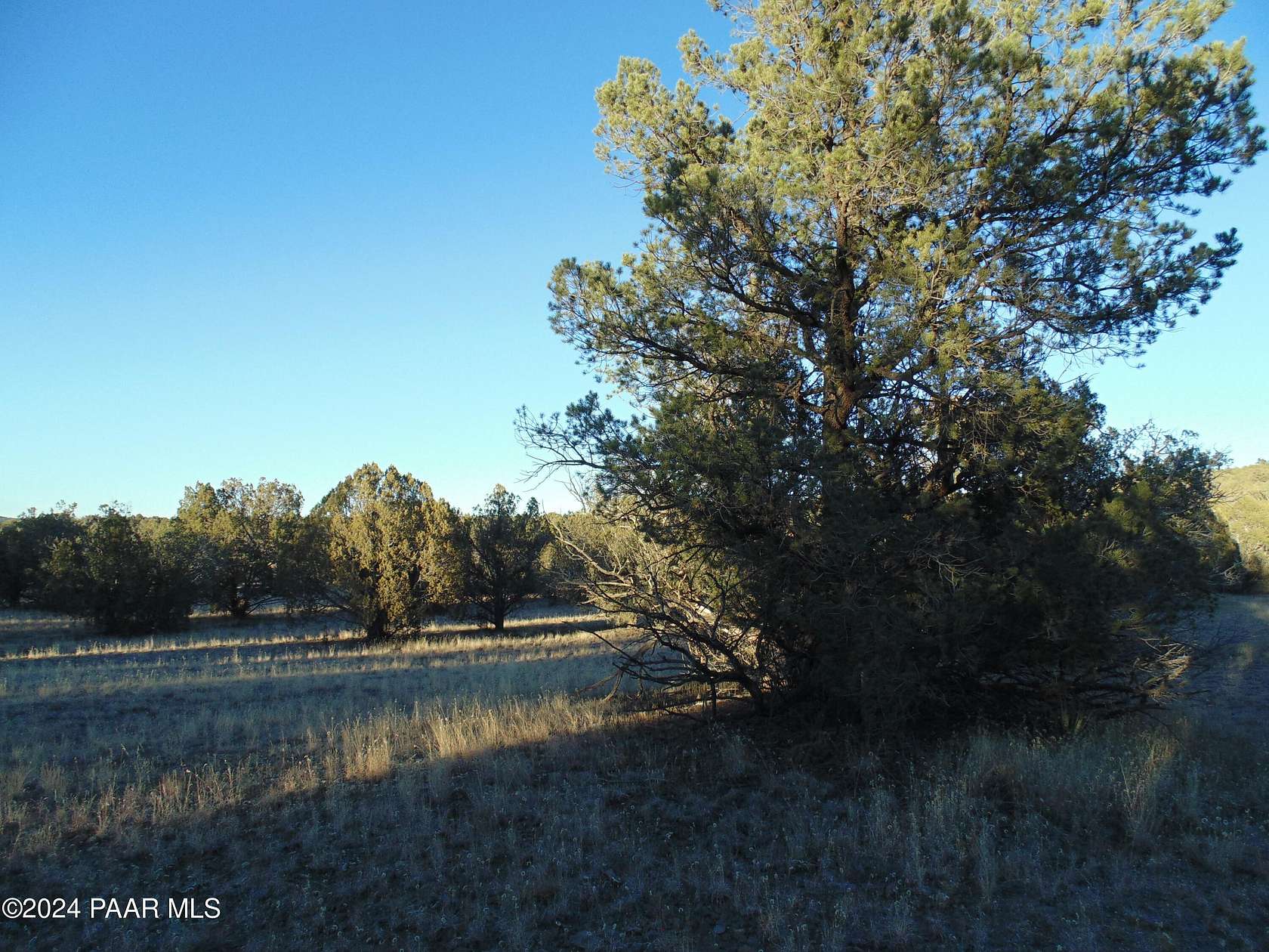 39.75 Acres of Recreational Land for Sale in Seligman, Arizona