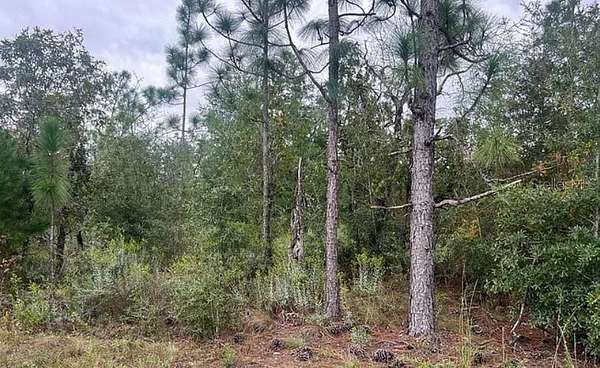 2.5 Acres of Residential Land for Sale in Fountain, Florida