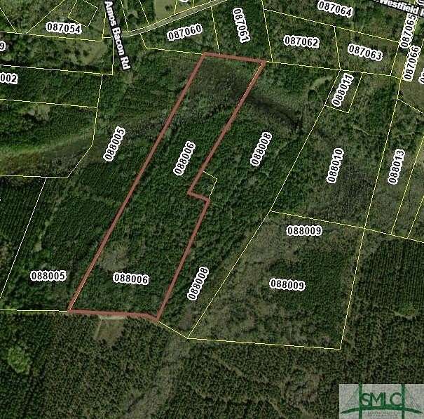 38 Acres of Recreational Land for Sale in Midway, Georgia