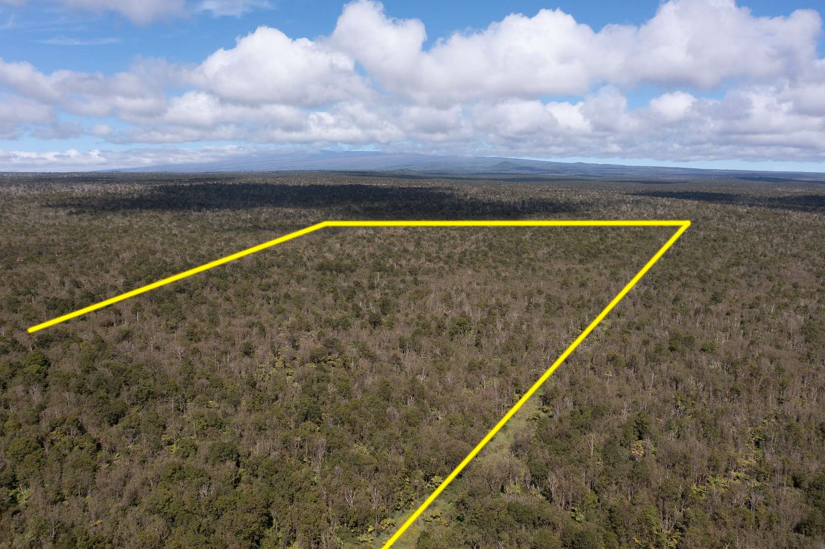 93.7 Acres of Recreational Land for Sale in Mountain View, Hawaii