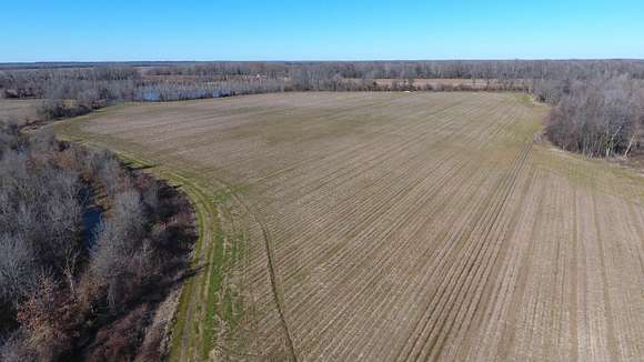 60 Acres of Agricultural Land for Sale in Parkdale, Arkansas