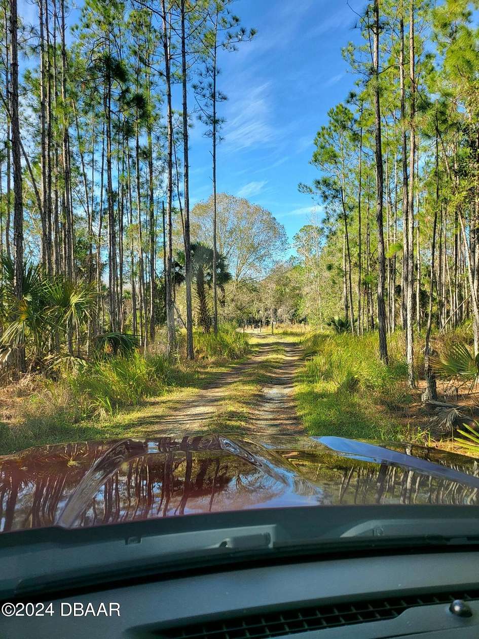 5 Acres of Agricultural Land for Sale in New Smyrna Beach, Florida