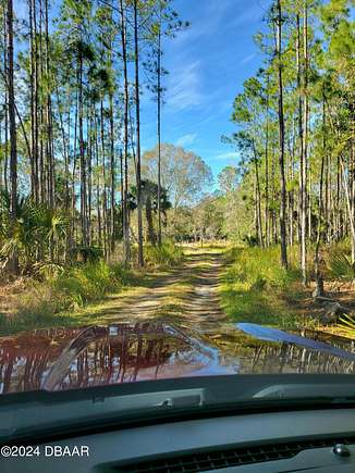 5 Acres of Agricultural Land for Sale in New Smyrna Beach, Florida