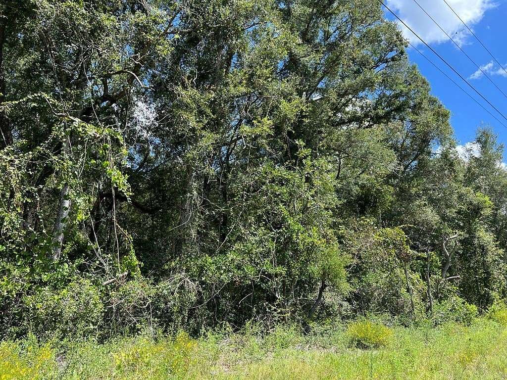 2.3 Acres of Commercial Land for Sale in Chiefland, Florida