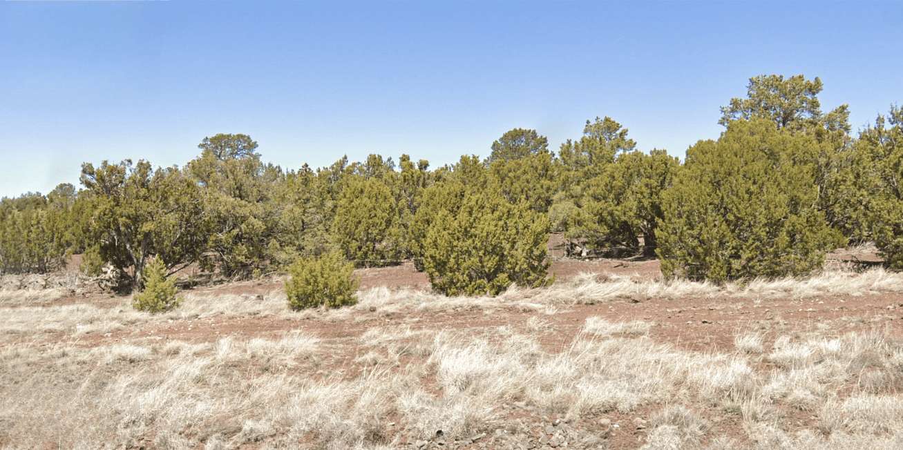 1.38 Acres of Residential Land for Sale in Concho, Arizona