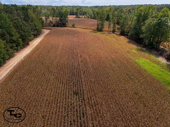 216.99 Acres of Recreational Land & Farm for Sale in Westport, Tennessee