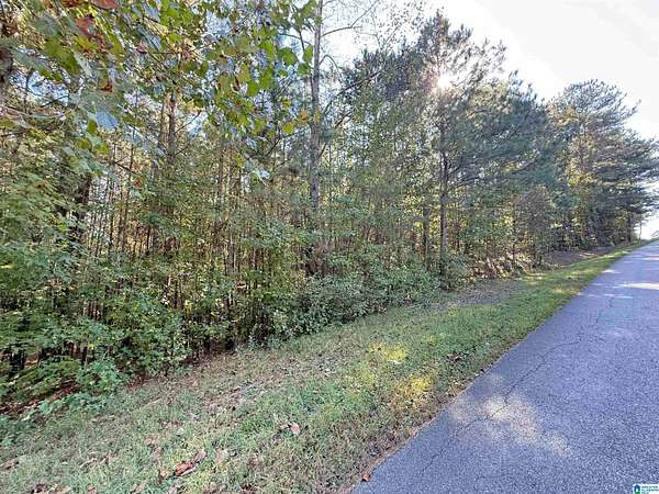 0.98 Acres of Residential Land for Sale in Odenville, Alabama