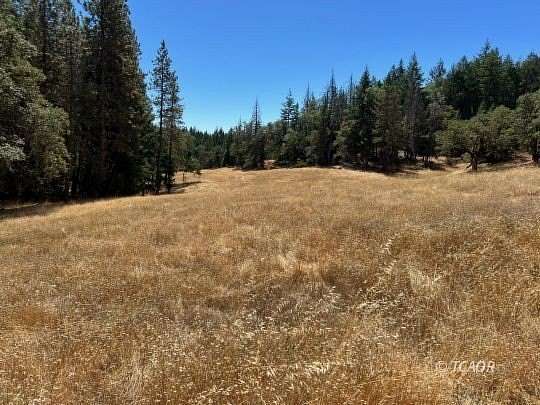 160 Acres of Land for Sale in Kettenpom, California