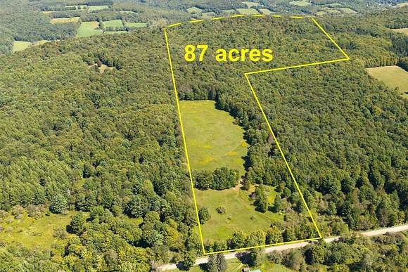 87.084 Acres of Agricultural Land for Sale in Meredith, New York