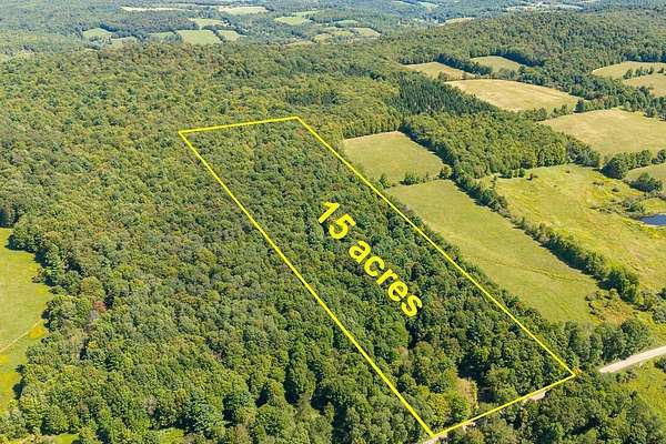 15.7 Acres of Land for Sale in Delhi, New York