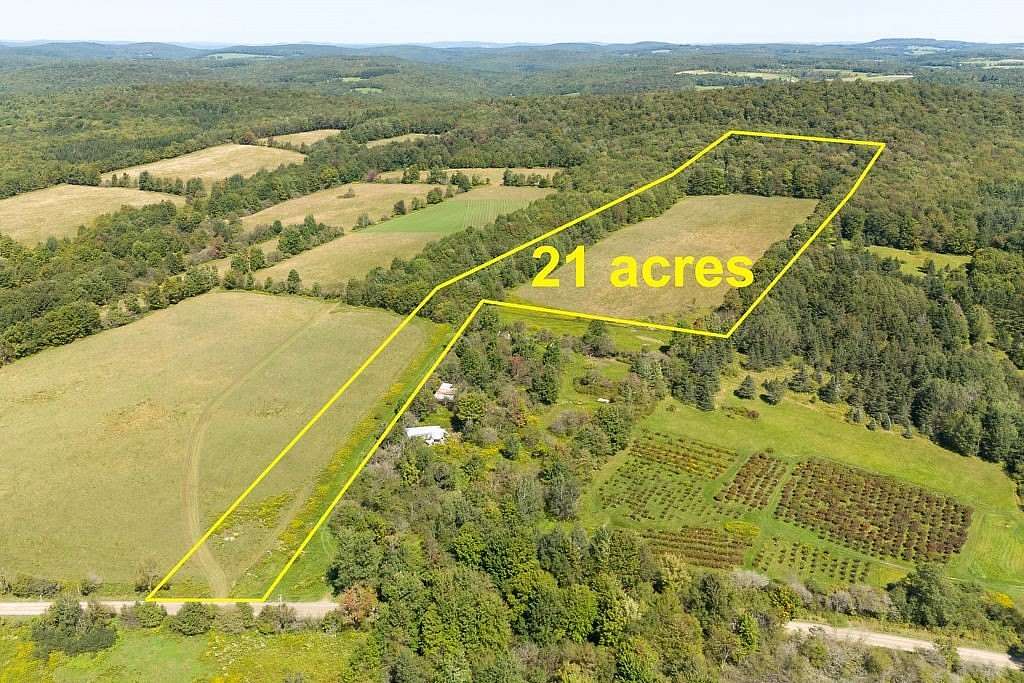 21.6 Acres of Land for Sale in Delhi, New York
