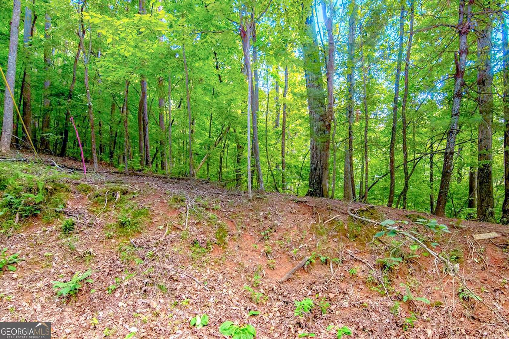 0.52 Acres of Residential Land for Sale in Ellijay, Georgia