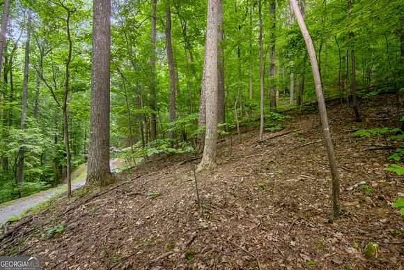 0.52 Acres of Residential Land for Sale in Ellijay, Georgia