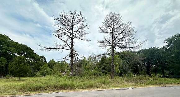 0.134 Acres of Residential Land for Sale in Payne Springs, Texas