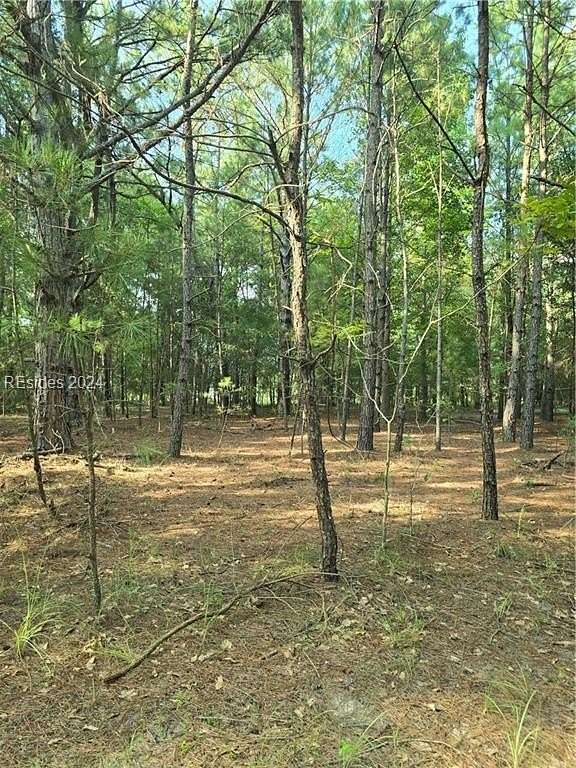 Residential Land for Sale in Pineland, South Carolina