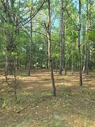 Residential Land for Sale in Pineland, South Carolina