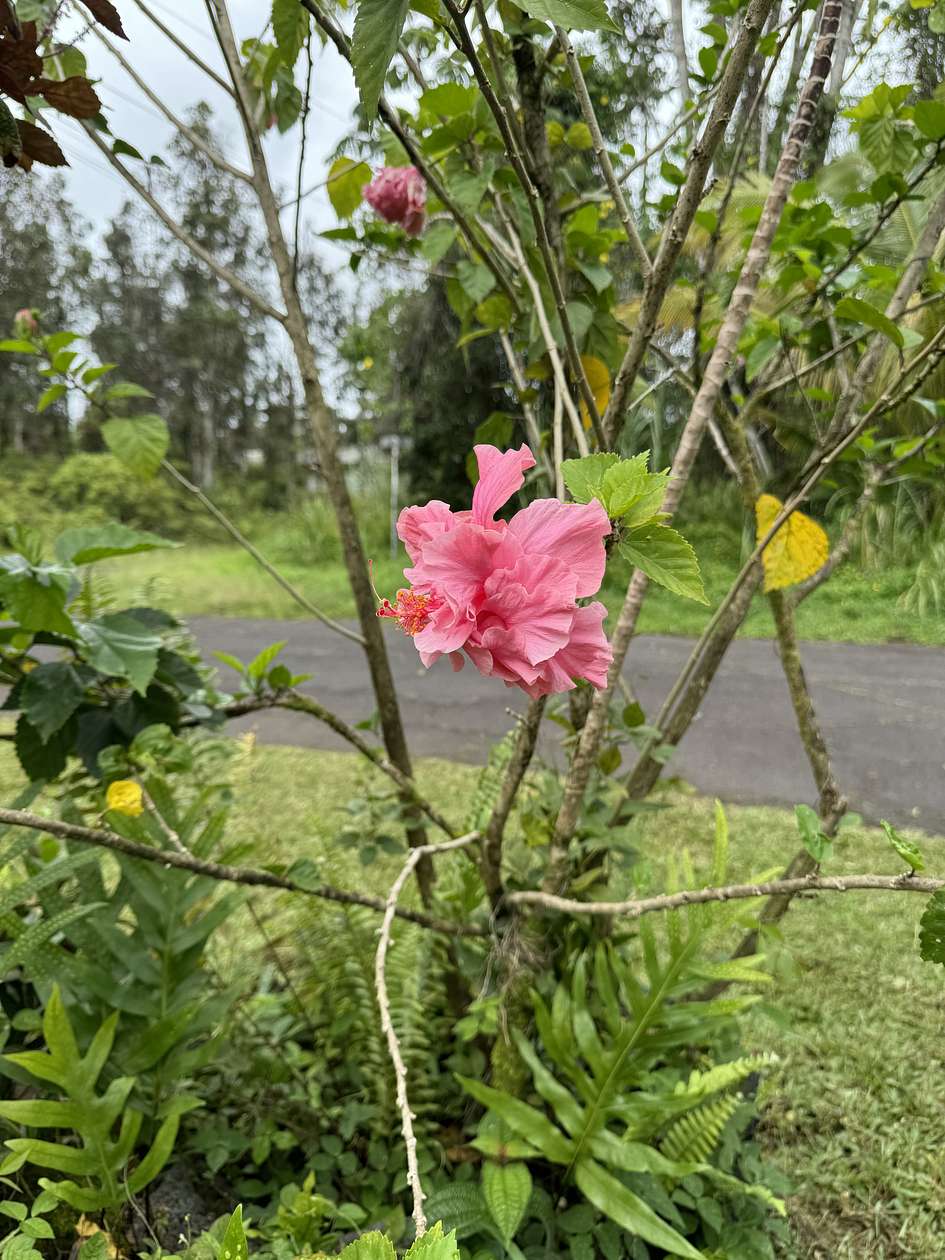 0.206 Acres of Residential Land for Sale in Pahoa, Hawaii