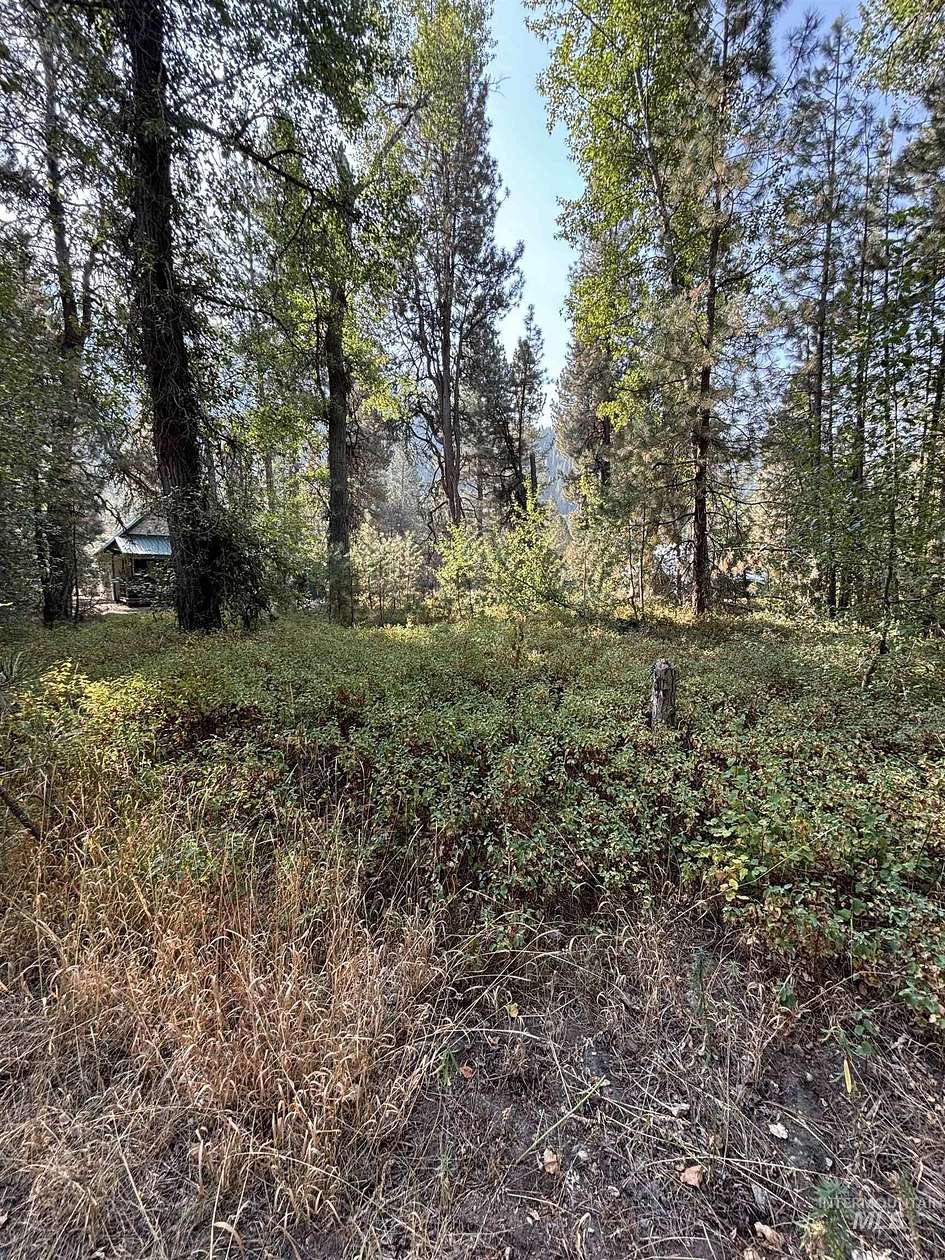 0.29 Acres of Residential Land for Sale in Pine, Idaho