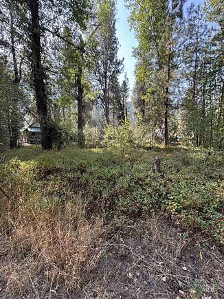 0.29 Acres of Residential Land for Sale in Pine, Idaho