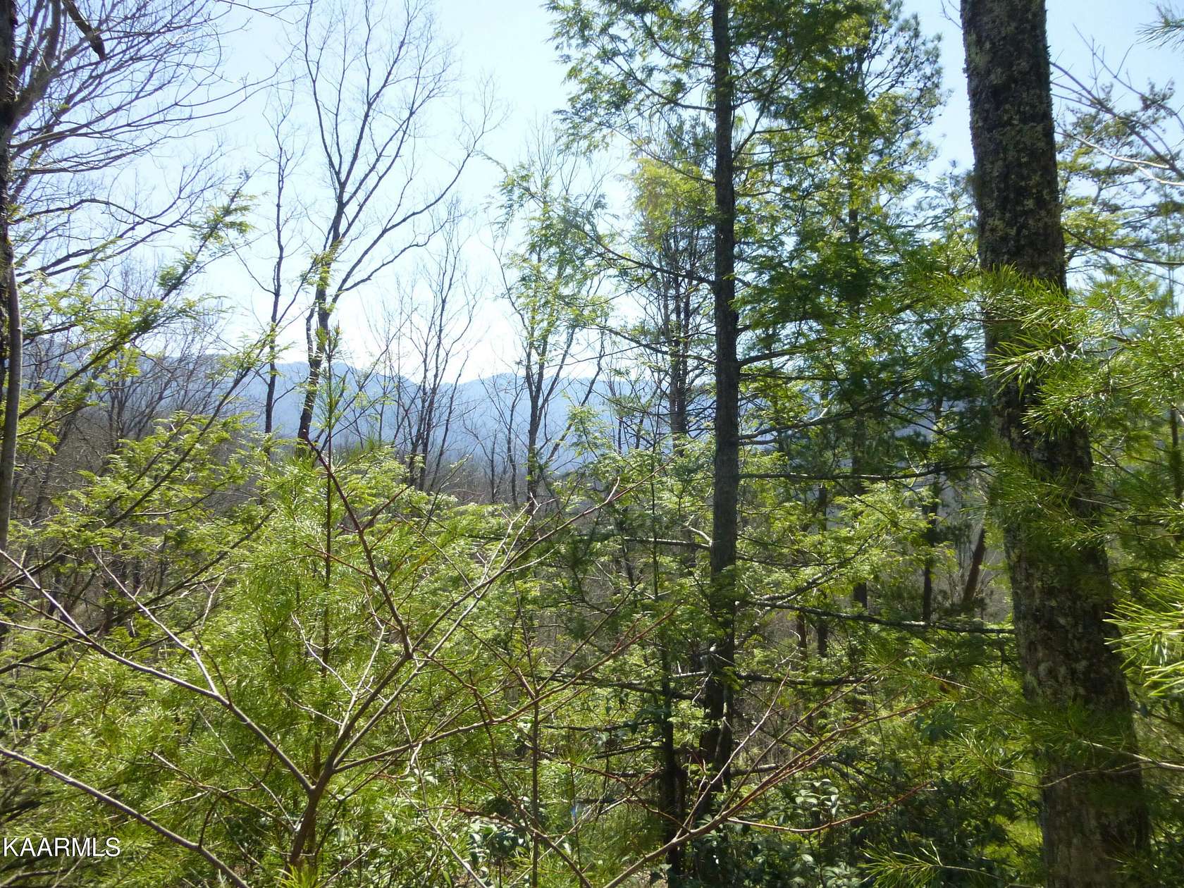 2.1 Acres of Residential Land for Sale in Cosby, Tennessee