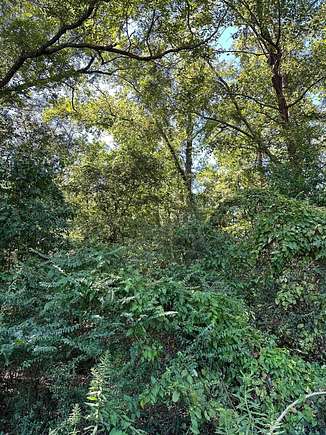 Land for Sale in Jefferson, Texas