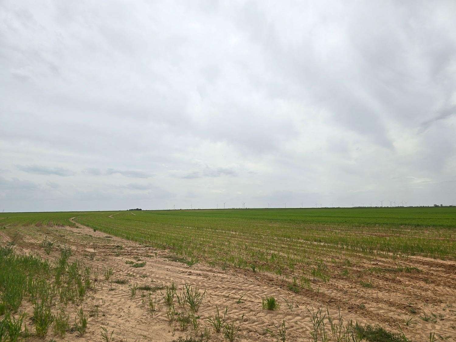 10.7 Acres of Land for Sale in Tahoka, Texas