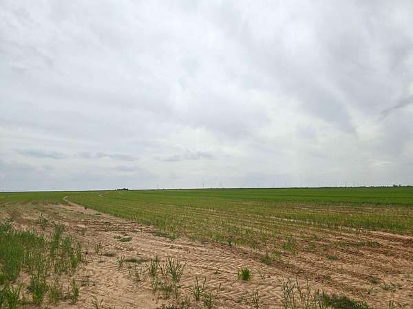 10.7 Acres of Land for Sale in Tahoka, Texas