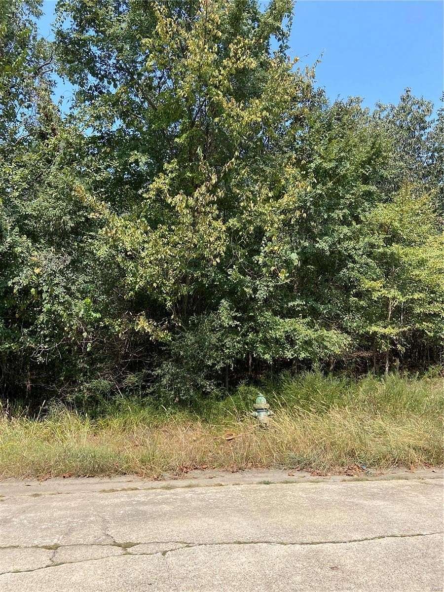 0.25 Acres of Residential Land for Sale in Poplar Bluff, Missouri