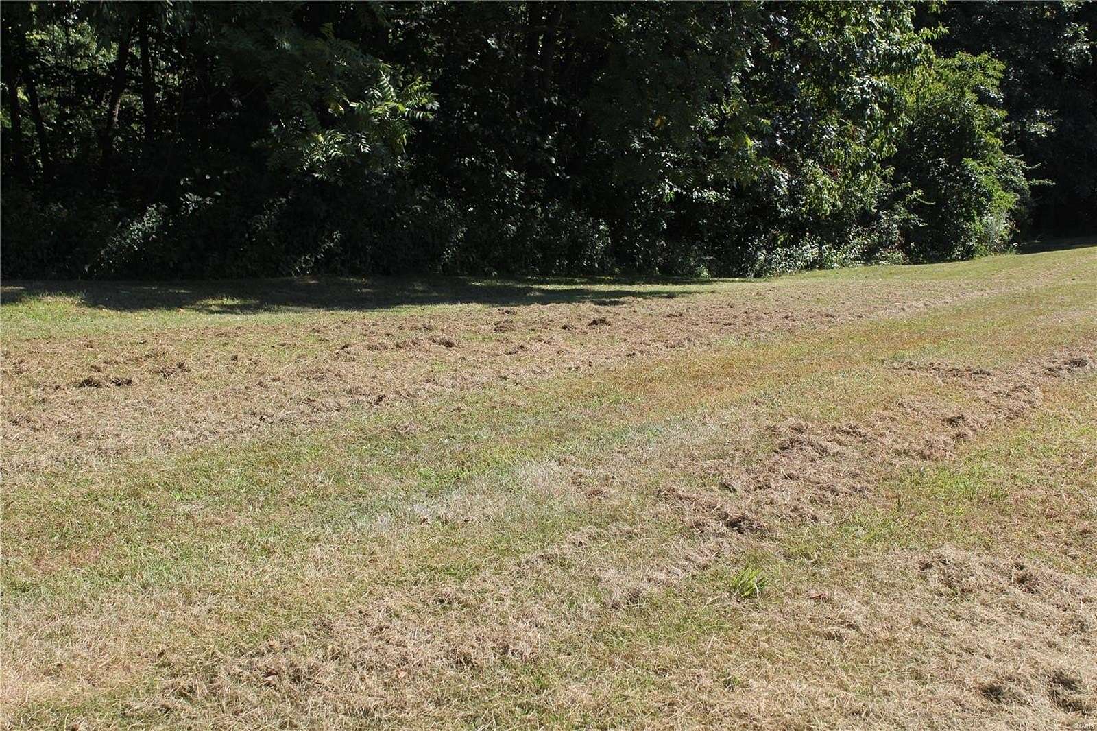 0.48 Acres of Residential Land for Sale in Brighton, Illinois