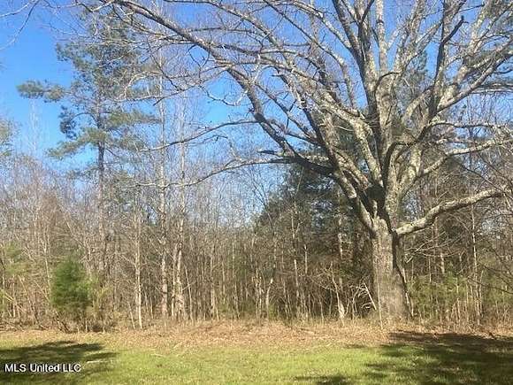 50 Acres of Recreational Land for Sale in Mount Pleasant, Mississippi