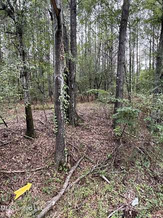 3.94 Acres of Residential Land for Sale in Terry, Mississippi