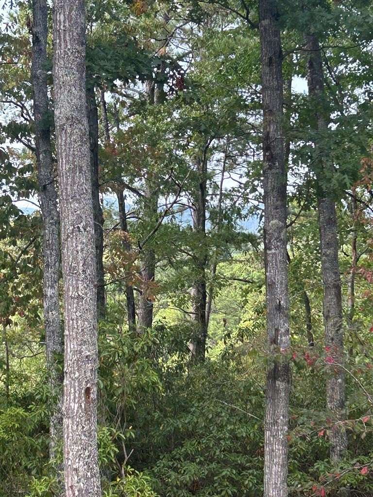 3.04 Acres of Residential Land for Sale in Murphy, North Carolina